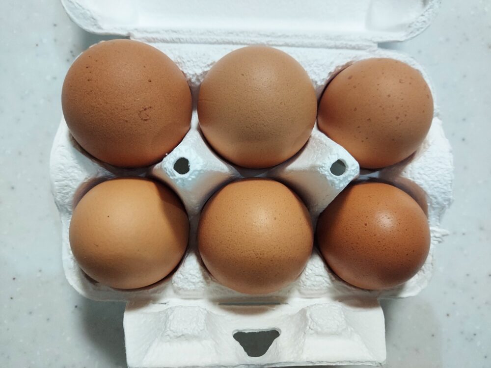 くらもちの平飼いたまご6個入り