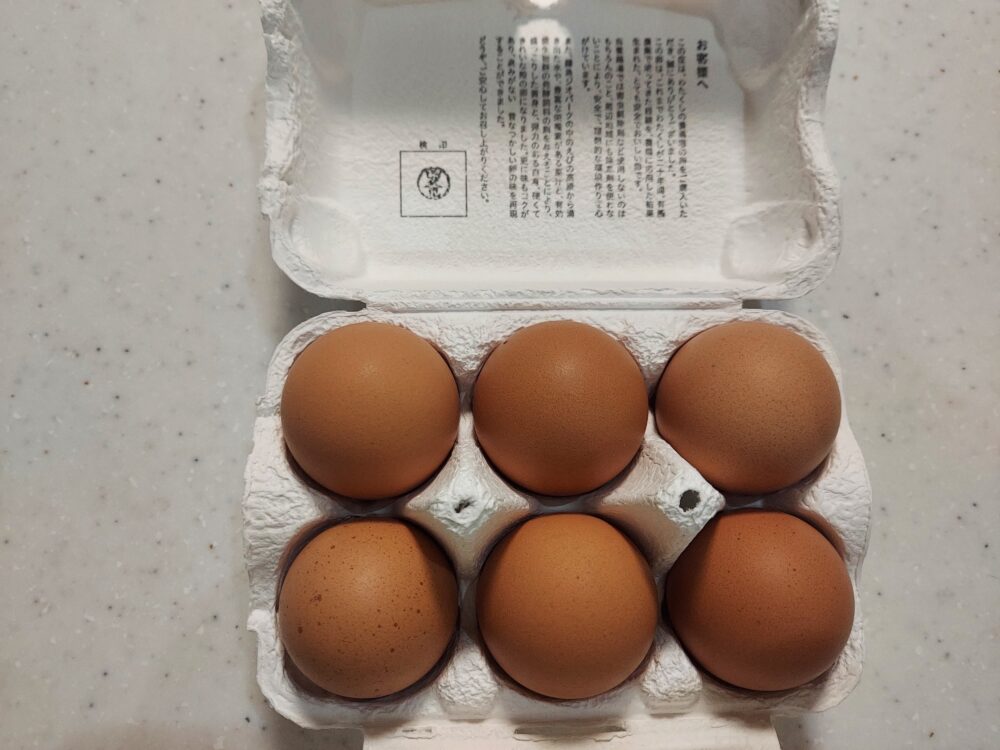 えびの高原生まれの卵
昔なつかしい味 6個入り