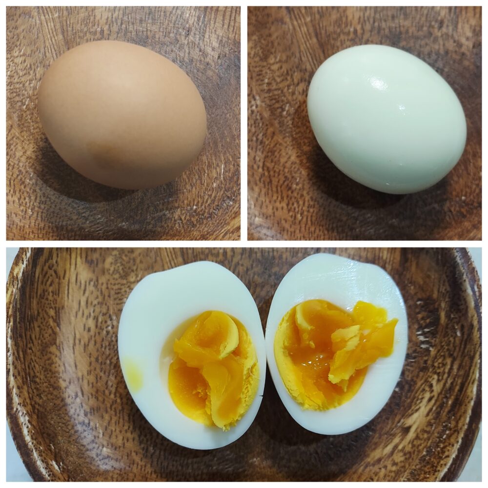 からだのたまご 血中中性脂肪を下げるDHA・EPA卵で作ったゆで卵