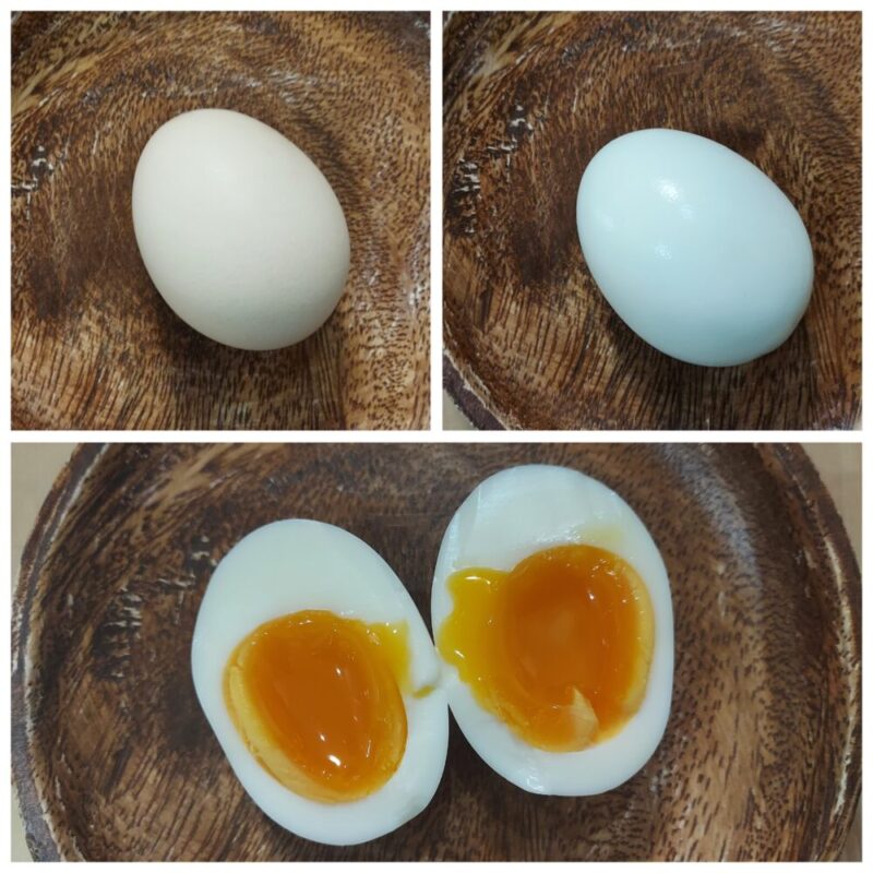 茹で時間6分のゆで卵