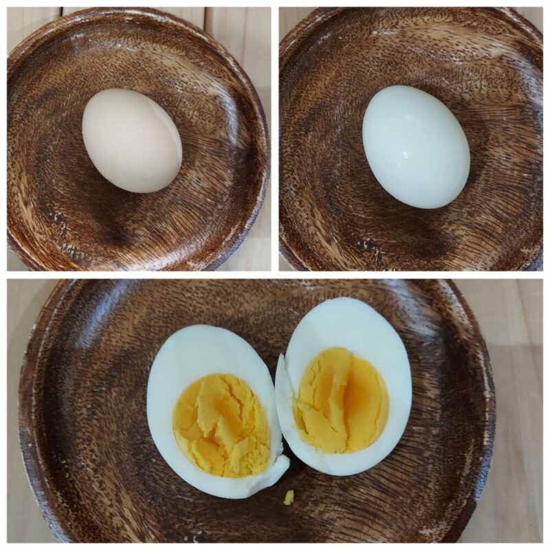 茹で時間10分のゆで卵