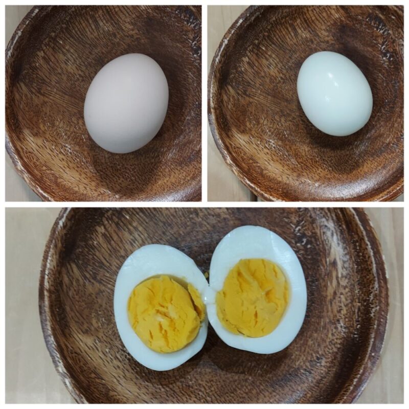 茹で時間19分のゆで卵