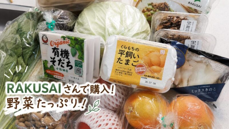 RAKUSAIさんで購入した野菜とミールキット